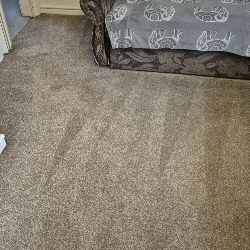 Living room carpet in Oldham after deep cleaning, with traffic lanes removed and fibres restored