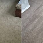 Before and After Results Professional Carpet Cleaning - Pro Clean Carpet