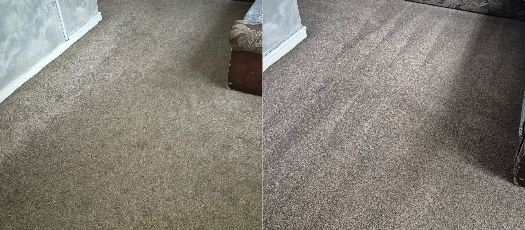 Before and After Results Professional Carpet Cleaning - Pro Clean Carpet